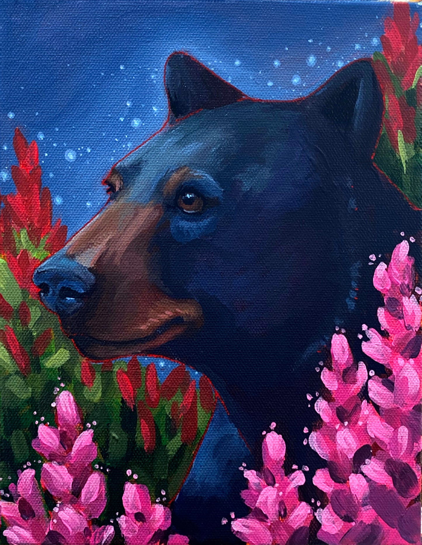 Dreamer's Field