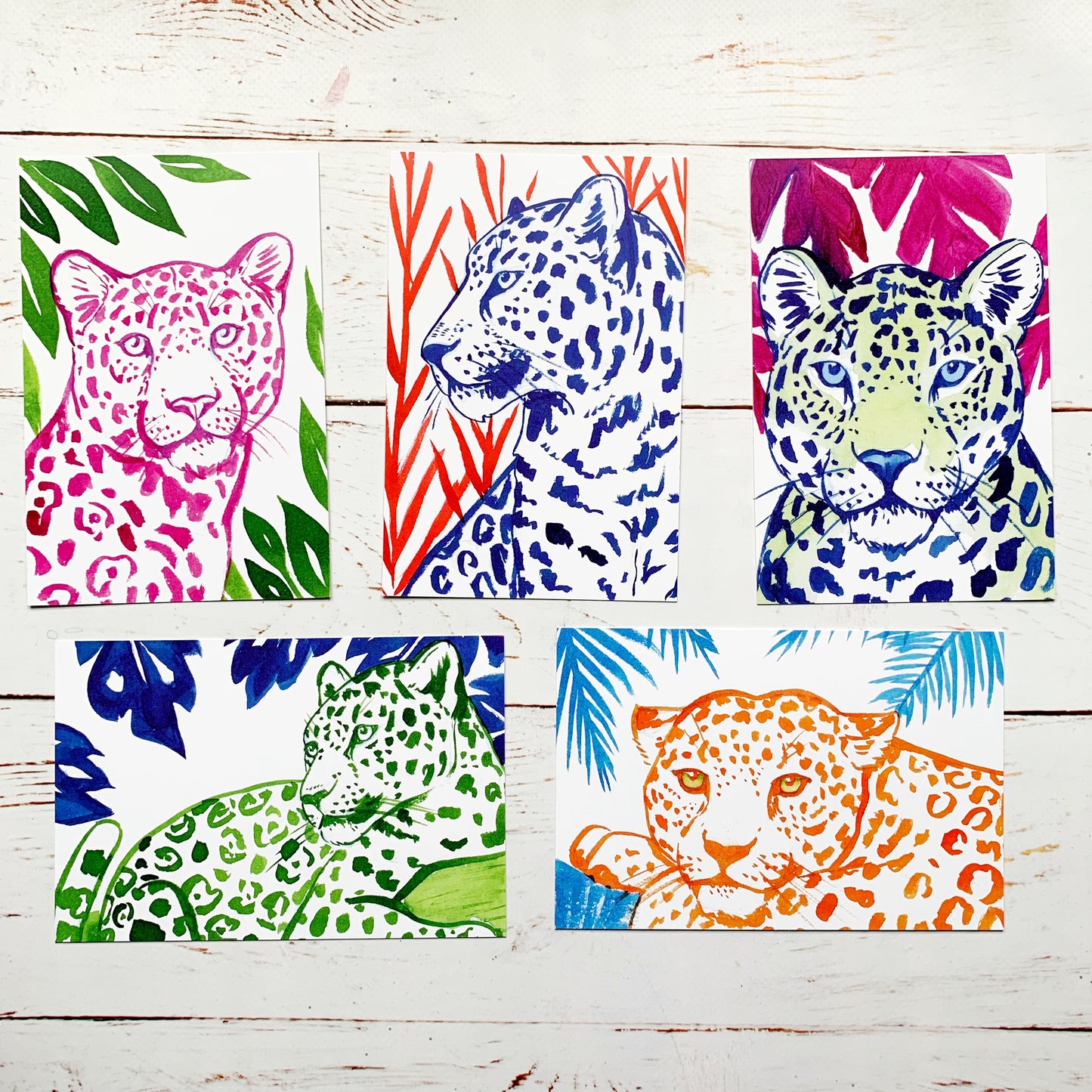 Leopard Postcard Pack of 5 - Priscilla George Fine Art