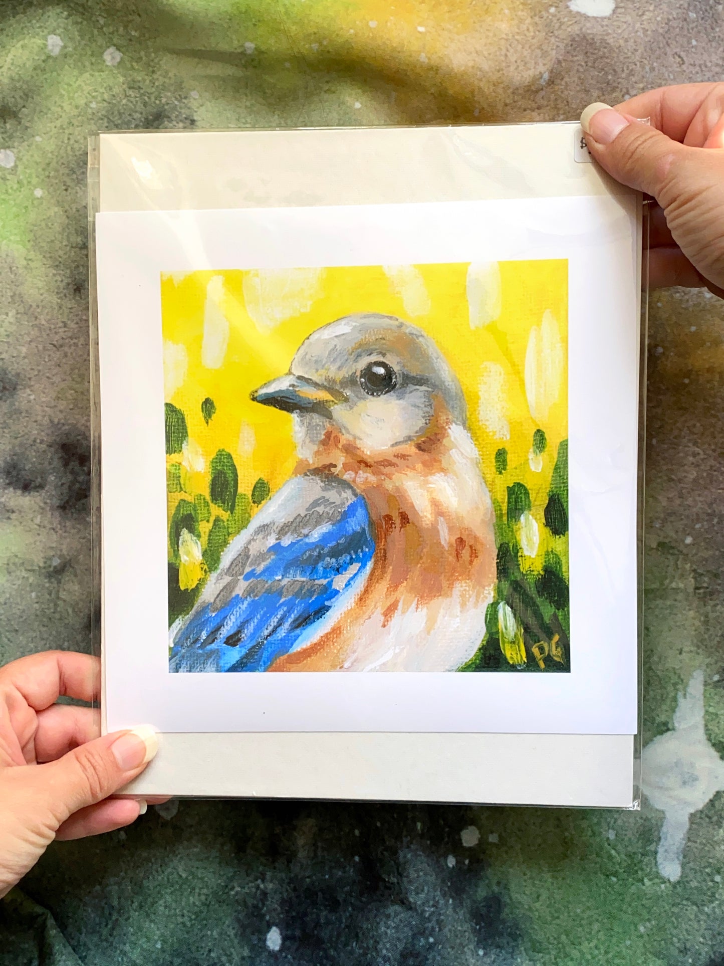 Eastern Bluebird Female Print