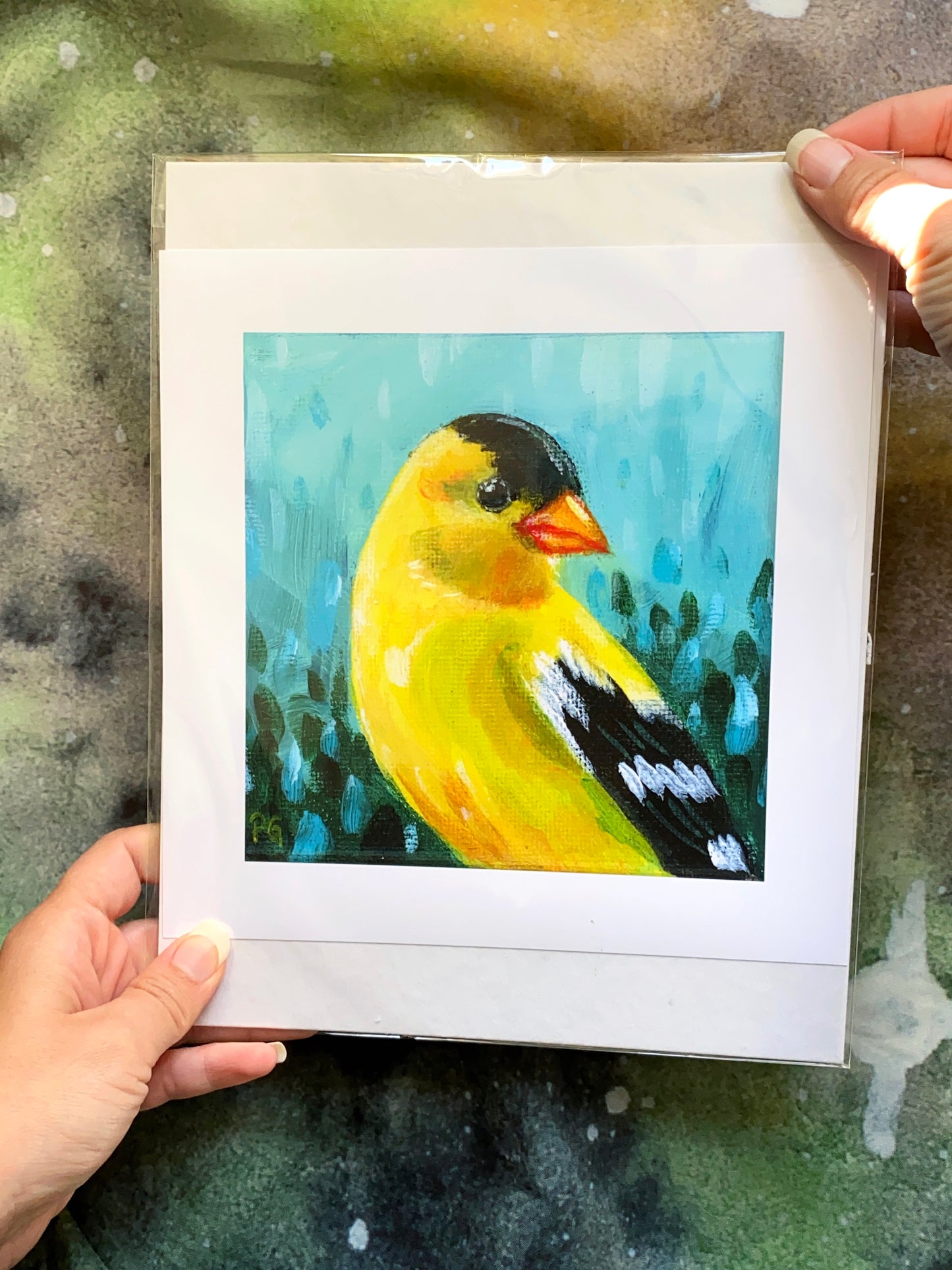 Goldfinch Male Print