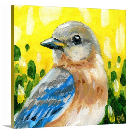 Eastern Bluebird Female Wrapped Canvas Print - Priscilla George Fine Art
