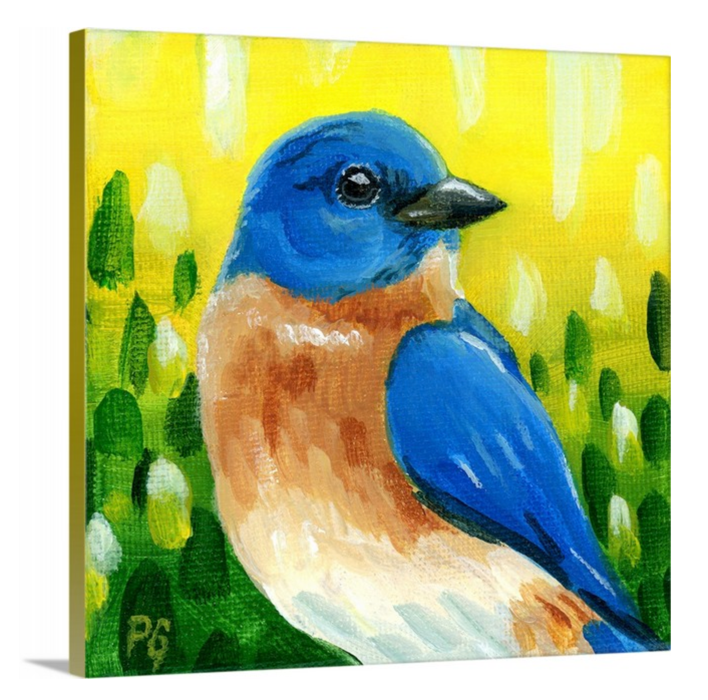 Eastern Bluebird Male Wrapped Canvas Print - Priscilla George Fine Art
