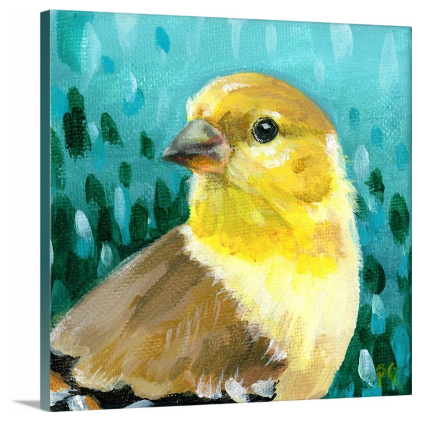 Goldfinch Female Wrapped Canvas Print - Priscilla George Fine Art