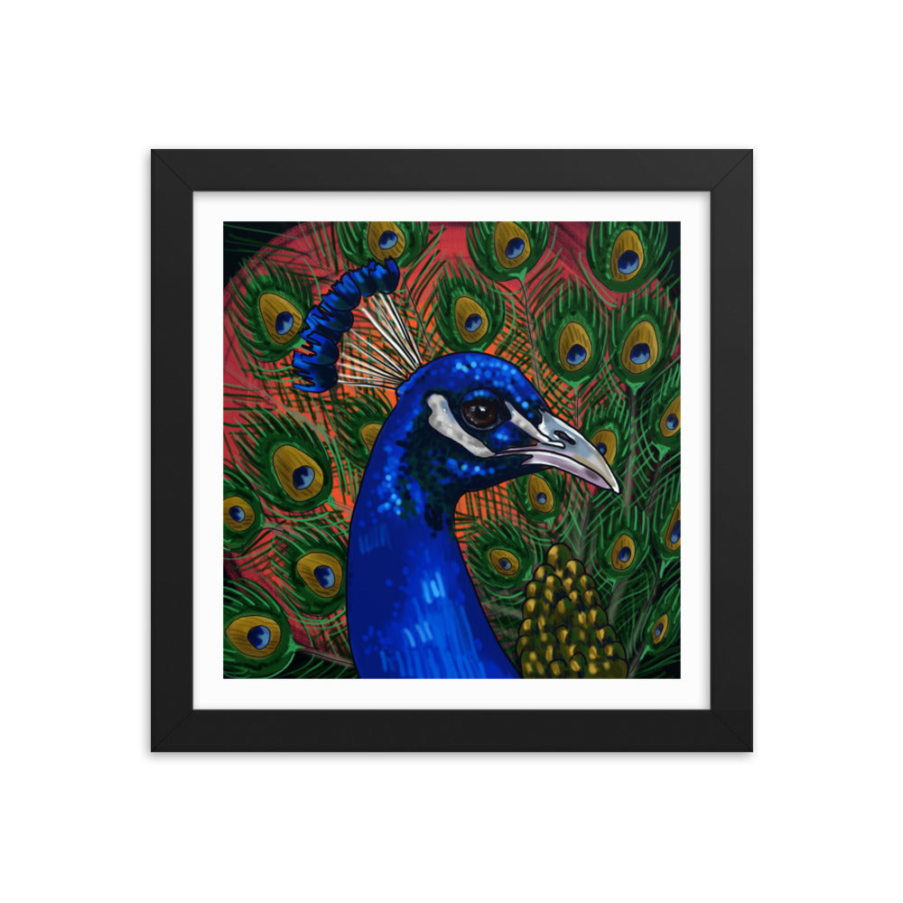 Peacock - Framed Print